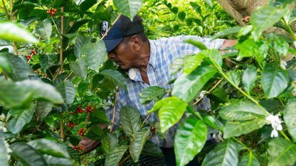 Espressolab’den kahve üretiminde şeffaf ve izlenebilir sistem