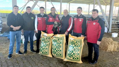 Ezine’de taşkından etkilenen yetiştiricilere yem desteği