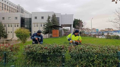 Hastane bahçelerinde budama ve bakım çalışması yapılıyor