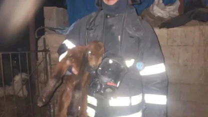 Hatay’da ahırda korkutan yangın