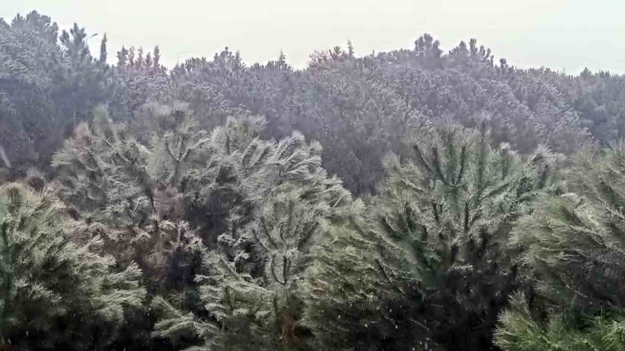 İstanbul’da yüksek kesimlerde kar yağışı başladı