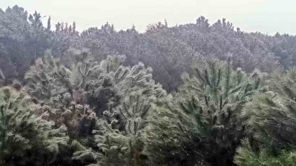 İstanbul’da yüksek kesimlerde kar yağışı başladı
