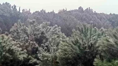 İstanbul’da yüksek kesimlerde kar yağışı başladı