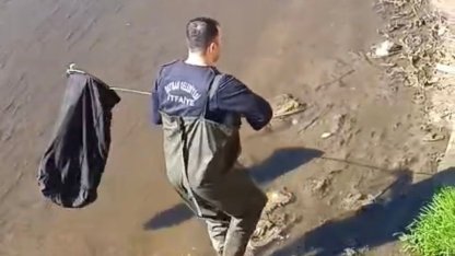 İtfaiye ekipleri dereye düşen horoz için seferber oldu