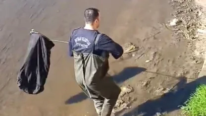 İtfaiye ekipleri dereye düşen horoz için seferber oldu