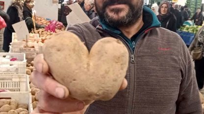 Kalp şeklindeki patates ilgi odağı oldu