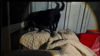 Kamyonet kasasında battaniyeyle saklanan 11 kilo 200 gram uyuşturucu yakalandı