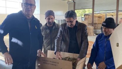 Karacasu’da tütünler paketlenmeye başladı, üretici fiyatlardan dert yandı