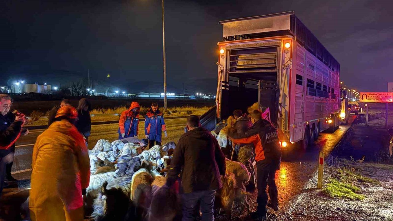 Kayseri’de taşkın riski: 200 hayvan tahliye edildi