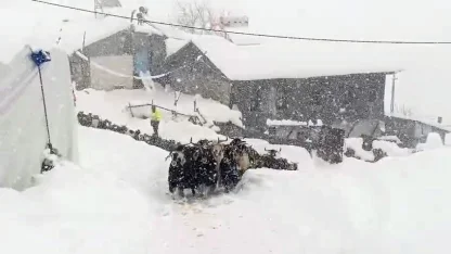 Keçilerin inadı yarım metreyi bulan kara yenilmedi
