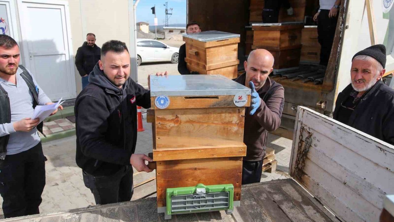 Kırsal üretime kovan desteği