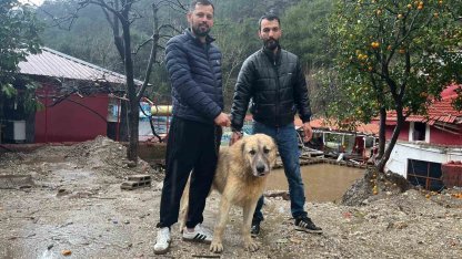 Köpeğini sel sularından kurtaran sahibi o anları anlattı