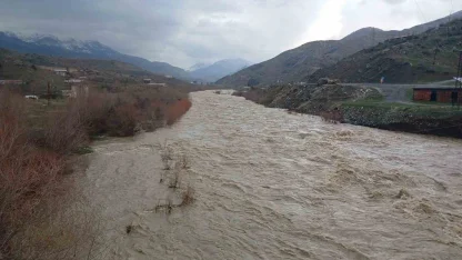 Kulp Çayı taştı: Yağış ve kar erimesiyle debi rekor seviyeye çıktı
