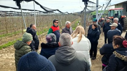 Lüleburgaz’da üreticilere uygulamalı budama eğitimi