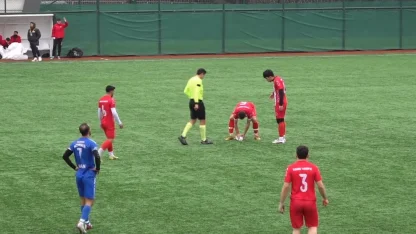 Maç esnasında top çarpan martı, kalp masajıyla hayata döndü