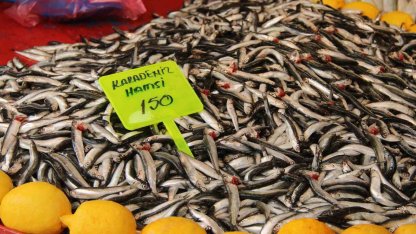 Menteşe pazarında hamsi ucuzladı
