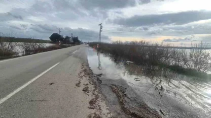 Meriç Nehri taştı, sedde patladı: Karayolu sular altında