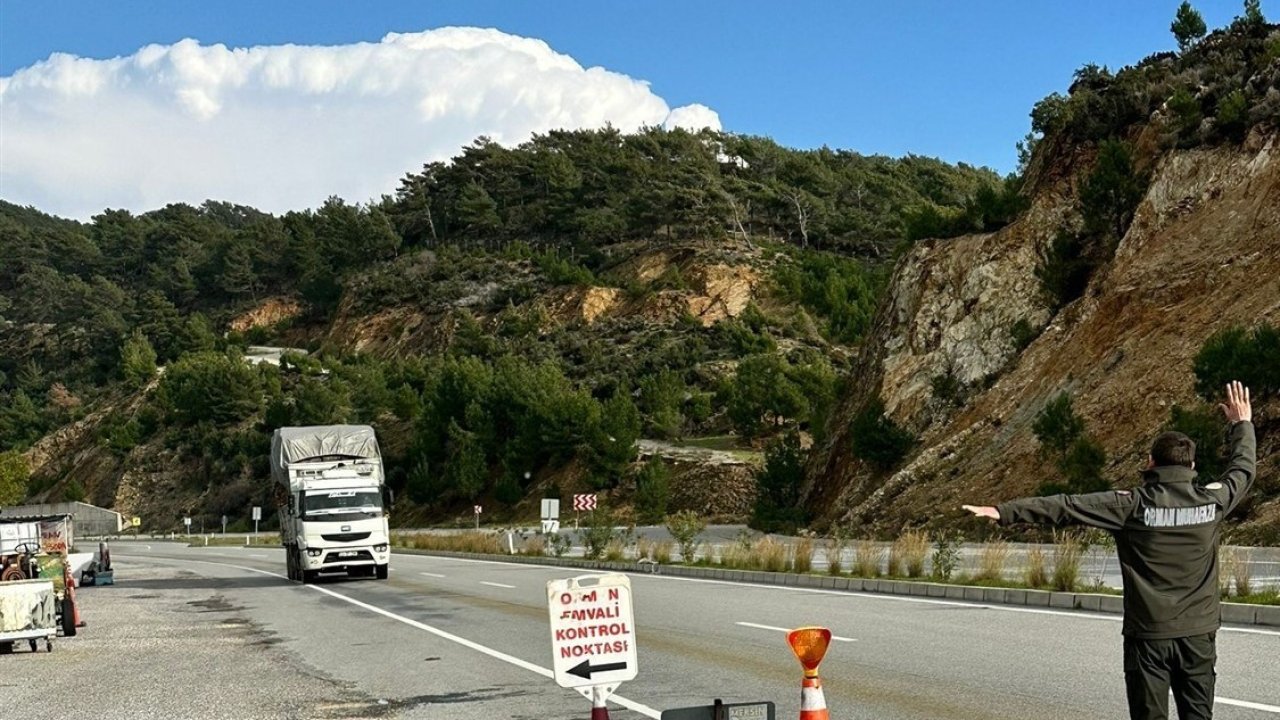 Mersin’de orman suçlarına eş zamanlı denetim