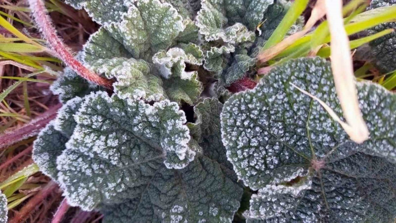 Muğla 5 gün soğuk havanın etkisinde olacak