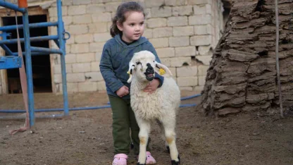 Muş’ta hayvan sayısı 1,4 milyonu aştı: 650 bin kuzu ve oğlak doğumu bekleniyor