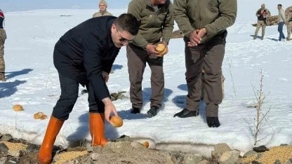 Özalp ilçesinde doğaya yem bırakıldı