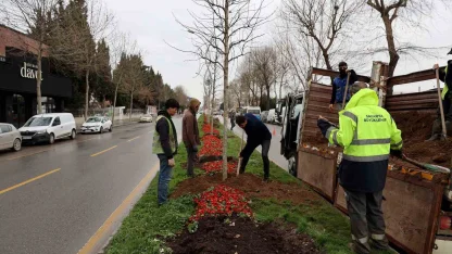Sakarya’da 3 ayda 2 bin 500 ağaç dikildi