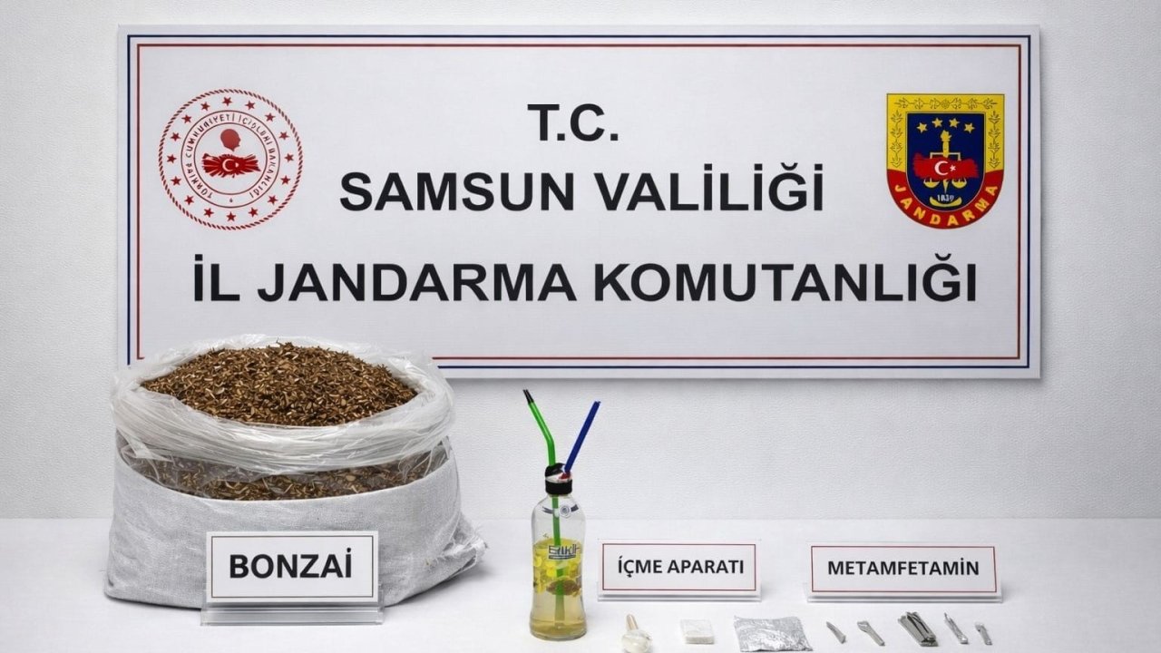Samsun’da 12 kilo bonzai ele geçirildi