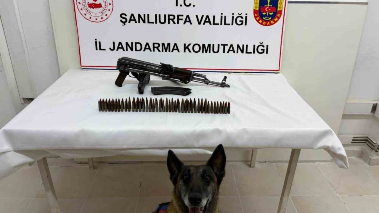 Şanlıurfa’da uzun namlulu silah ele geçirildi: 1 gözaltı