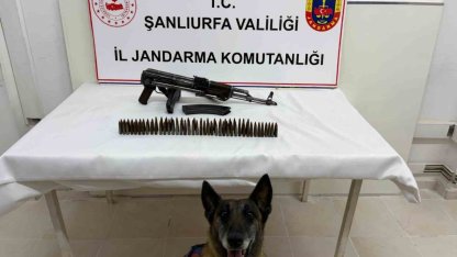 Şanlıurfa’da uzun namlulu silah ele geçirildi: 1 gözaltı