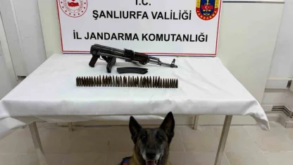 Şanlıurfa’da uzun namlulu silah ele geçirildi: 1 gözaltı