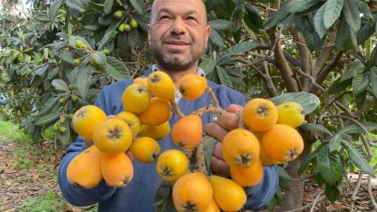 Sarı altın erken geldi: Yenidünya mart ayını beklemedi