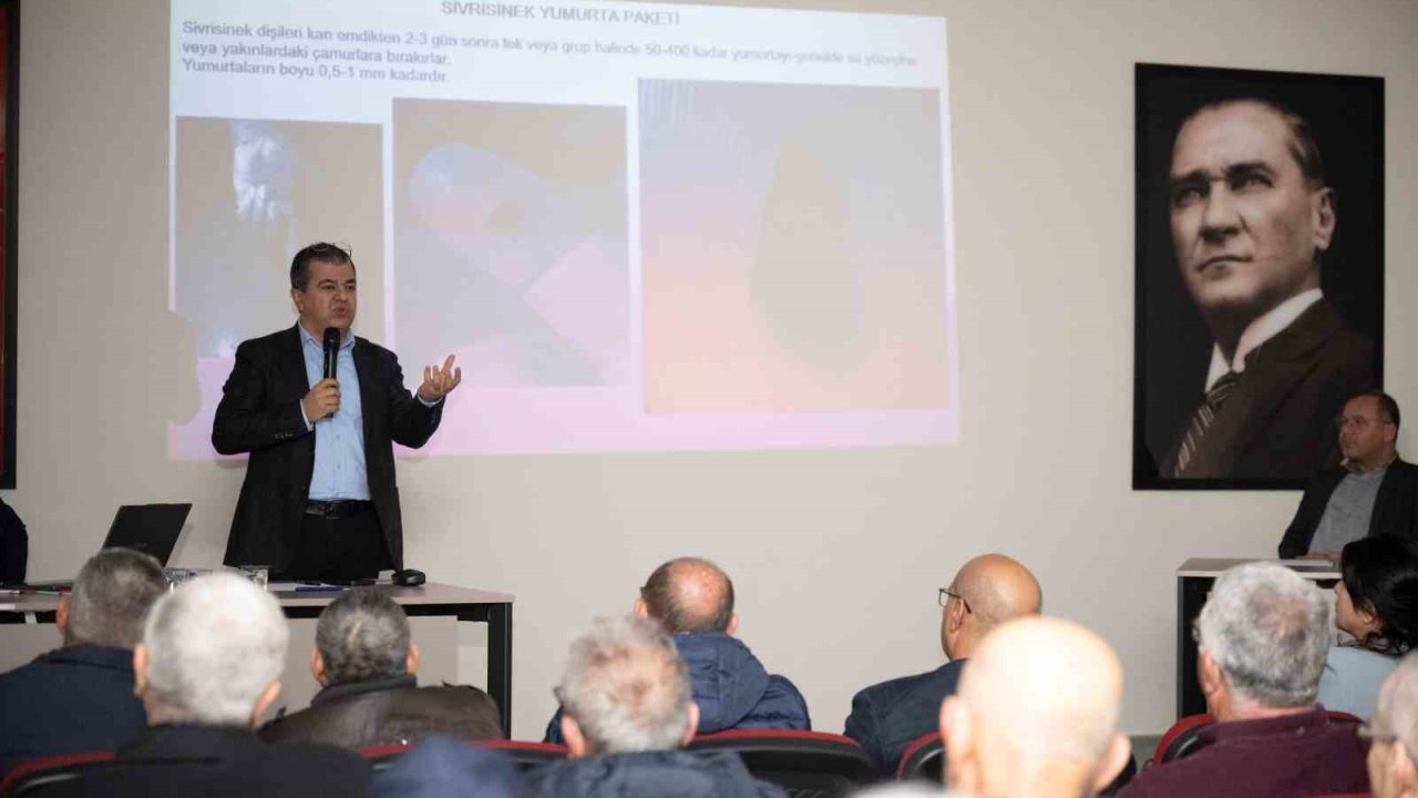 Silifke’de haşereyle mücadele için iş birliği çağrısı