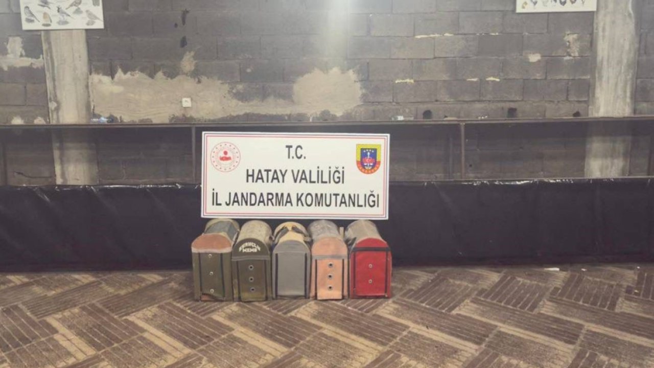 Süs Kanatlı Sokak Hayvanları Koruma Derneği’nde horoz dövüştürerek kumar oynayan 76 kişiye ceza yağdı