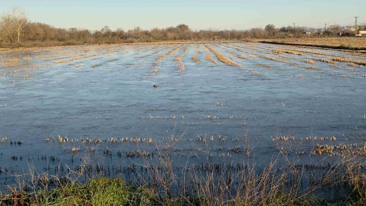 Taşkın sularının kapladığı tarım arazileri buz tuttu
