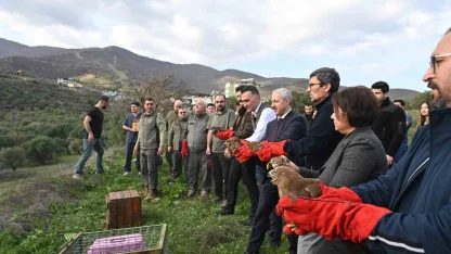 Tedavisi tamamlanan yırtıcı kuşlar özgürlüğe kanat çırptılar