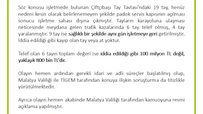 TİGEM’den ’değeri 100 milyon lira olan yarış atları kayıp’ iddialarına yalanlama