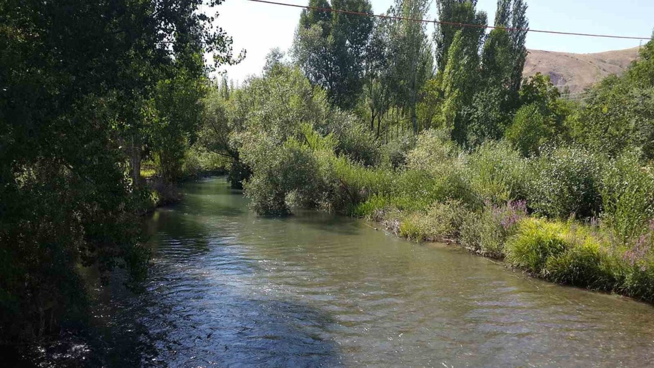 Tohma Çayı’nın ekolojik sağlığı bilimsel olarak ortaya kondu
