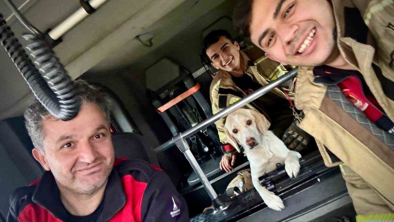 Umuda uzanan eller: Mahsur kalan köpeği itfaiye kurtardı