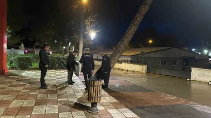 Yarım asırlık çam ağacı fırtınaya dayanamadı