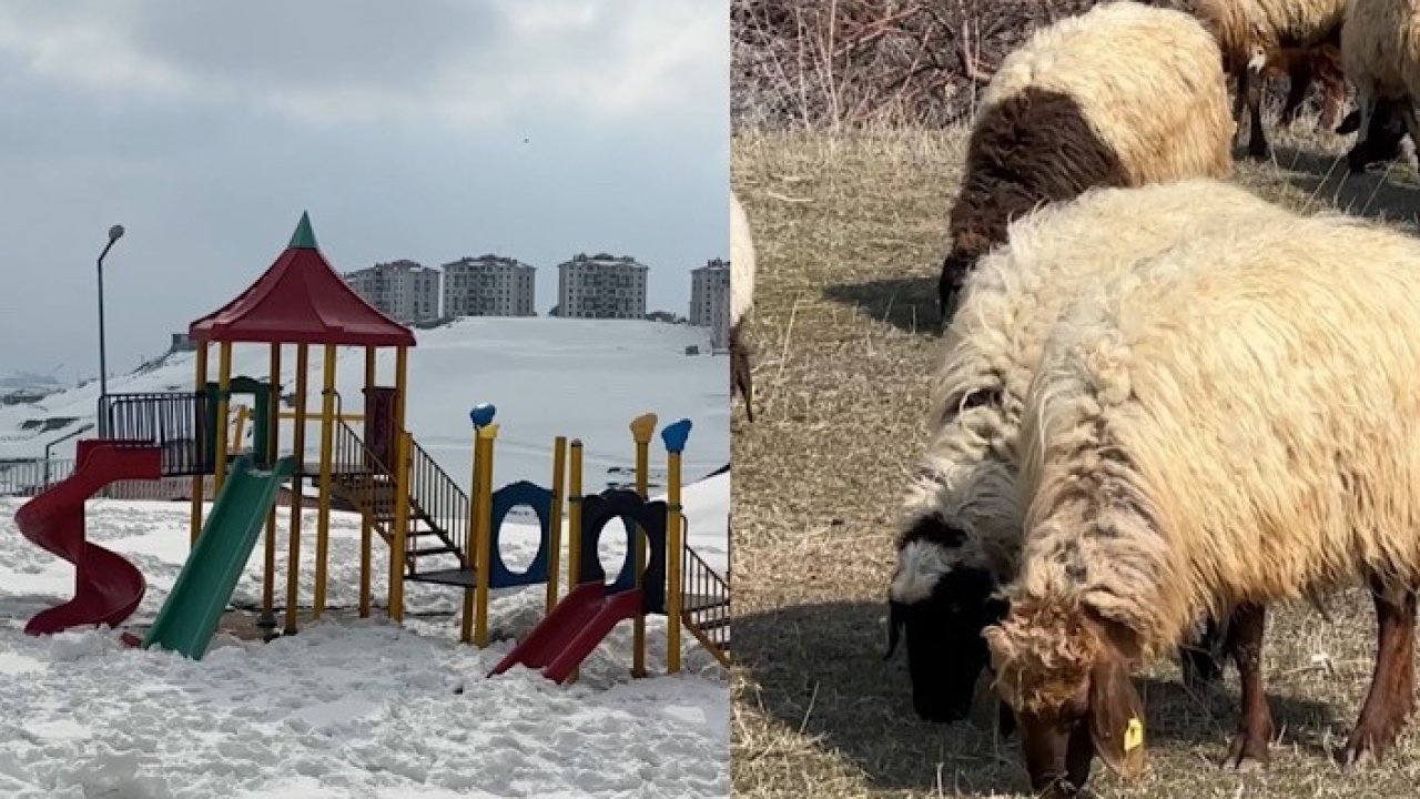 40 kilometre arayla iki mevsim: Yüksekova’da kar, Esendere’de bahar mesaisi