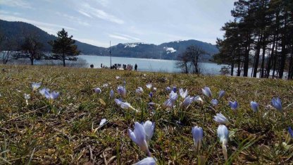 Abant’ta karların ardından bahar manzarası