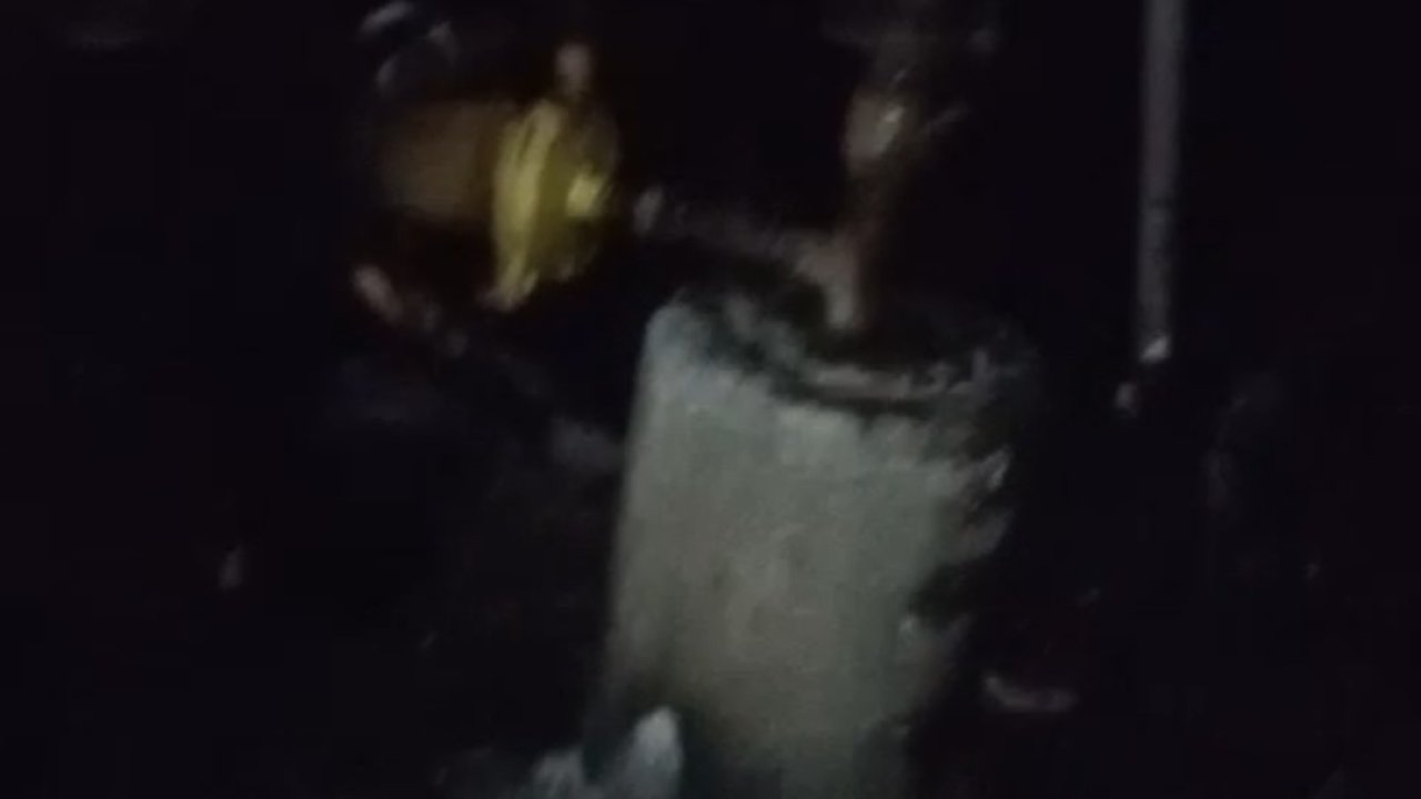 Adana’da 40 güvercin yangında telef oldu