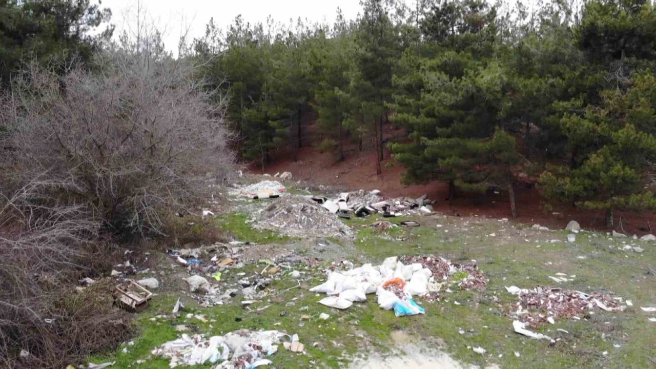 Amasya’da orman çöplüğe dönüştü: "Bu toprakları piyangodan kazanmadık"