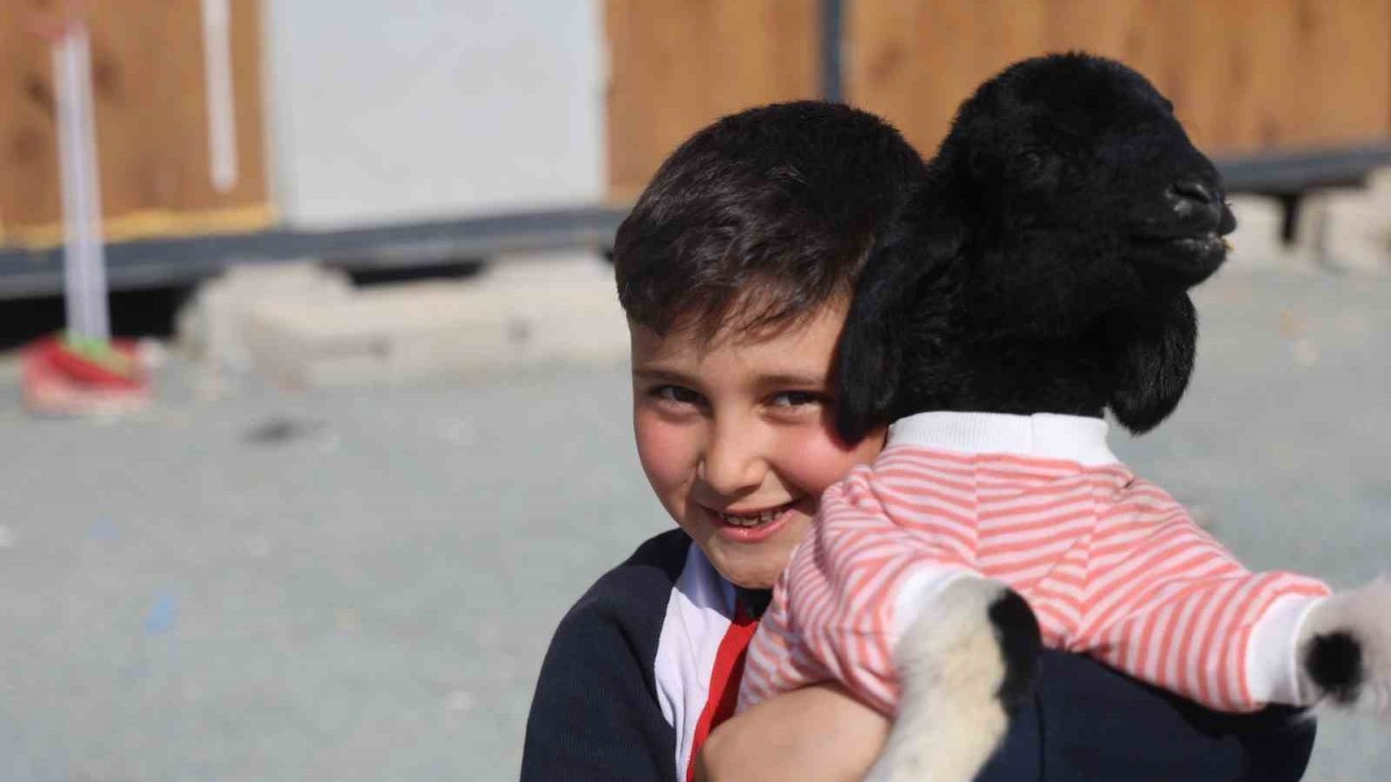 Annesi doğumda telef olan ’Boncuk’ kuzu, elbisesi ve biberonuyla ilgi odağı oldu