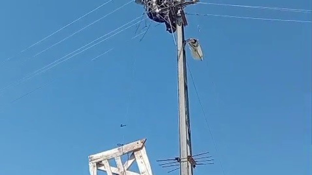 Aras Elektrik’ten doğa dostu adım: Fırtınada zarar gören leylek yuvaları yeniden yerine yerleştirildi