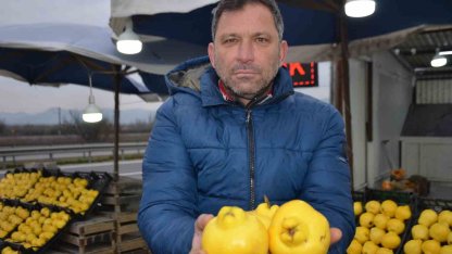 Ayvayı bu sene ayaz vurdu, fiyatlar fırladı