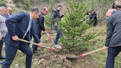 Bartın’da hükümlüler fidan dikti