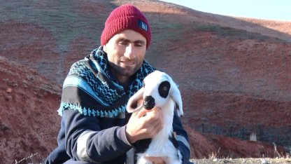 Başkent’te kuzuların anneleriyle buluşma anı dronla görüntülendi