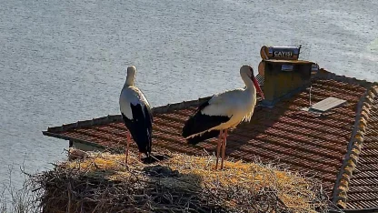 Beklenen buluşma gerçekleşti