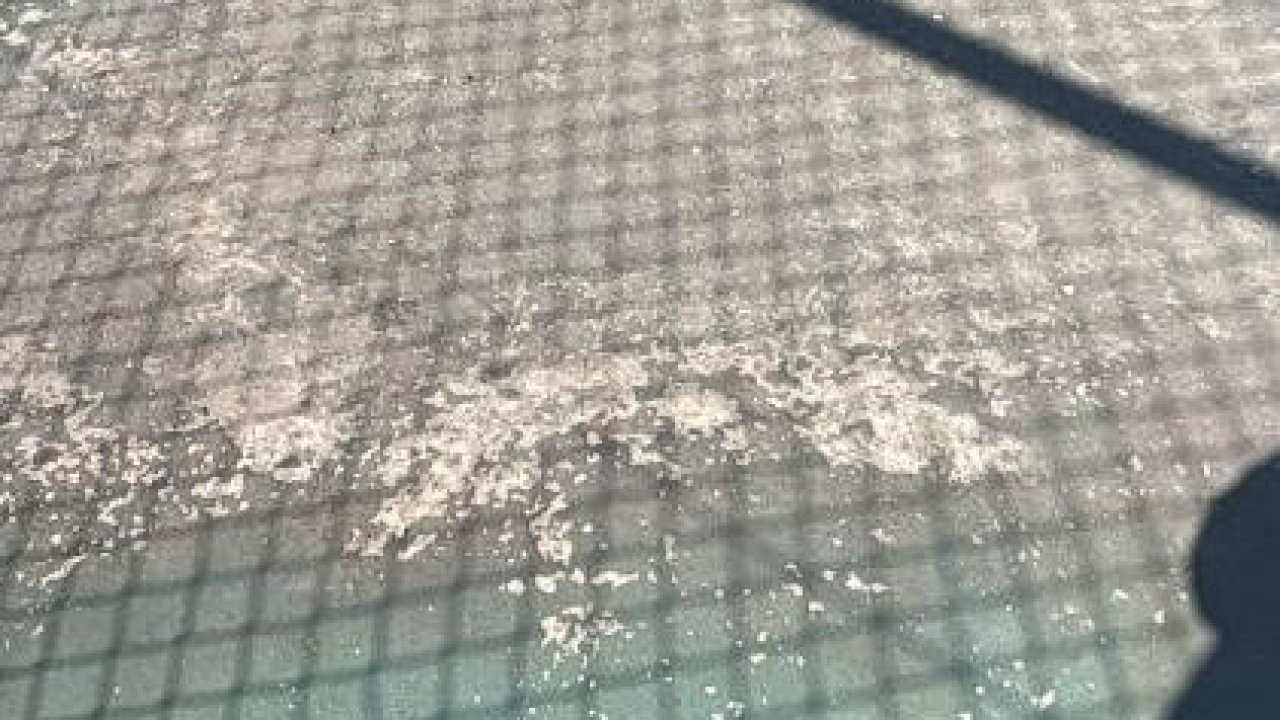 Bilecik’te spor kompleksinin hali işler acısı